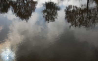 Des atlas des rivières bretonnes pour redécouvrir combien elles sont précieuses