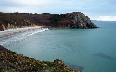 Les Algues vertes en baie de Douarnenez ont encore beaucoup à nous apprendre