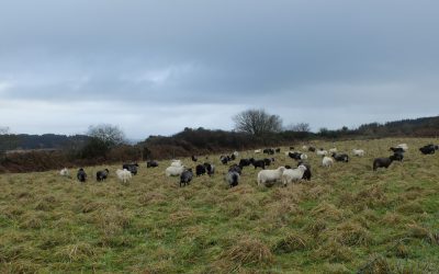 Agriculture et alimentation dans le Parc naturel régional d&rsquo;Armorique