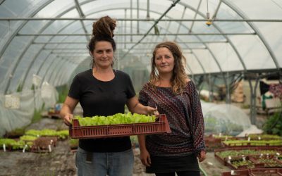 Vicky et Nolwen produisent des plants bio à Lopérhet