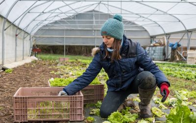 Se nourrir de photos au festival Pluie d&rsquo;images du 14 janvier au 25 février 2023
