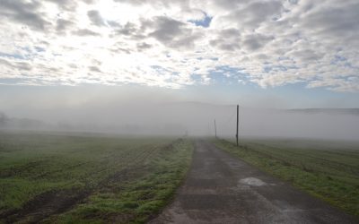 Par les chemins de l&rsquo;hiver, en Bretagne et dans le Massif central