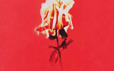 Le rythme hypnotisant et reposant de B.I dans « Love Or Loved Pt.1 »
