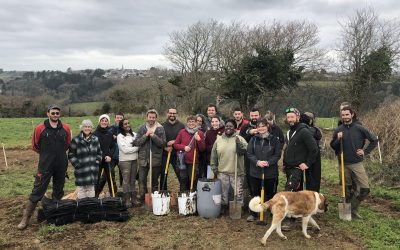 Sur un chantier de restauration du bocage à Rosnoën
