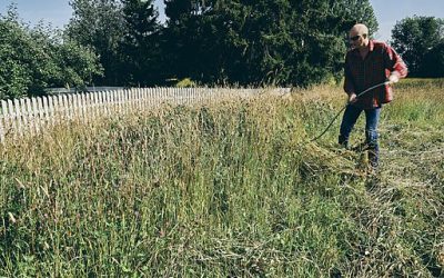 La faux en agriculture ? Il faut y songer !