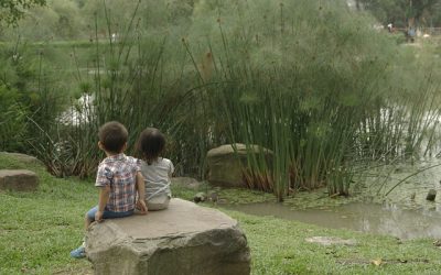 Eau et rivières de Bretagne forme les profs à l&rsquo;école du dehors