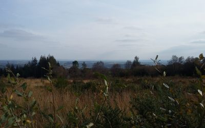 10 ans de protection de la vallée de l&rsquo;Aulne, zone Natura 2000