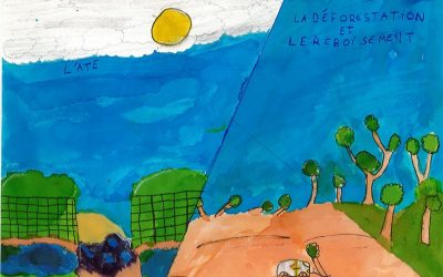 A Daoulas et à Diego Suarez, on teste des solutions pour protéger l&rsquo;environnement !