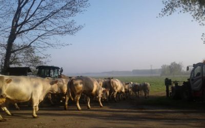 Des humains et des réserves naturelles en Bretagne