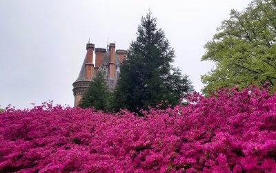 (Re)découvrir le domaine de Trévarez par la randonnée guidée