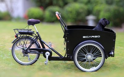 Marathon créatif pour inventer les mobilités durables en Bretagne