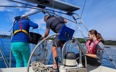 Klervi Fustec étudie le public des sciences participatives