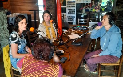 Arts et culture en milieu rural vécus par Run ar Puñs à Châteaulin